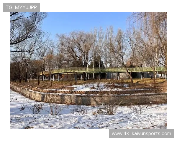 龙潭中湖乒乓球场地免费开放,成跨区球友热门聚集地